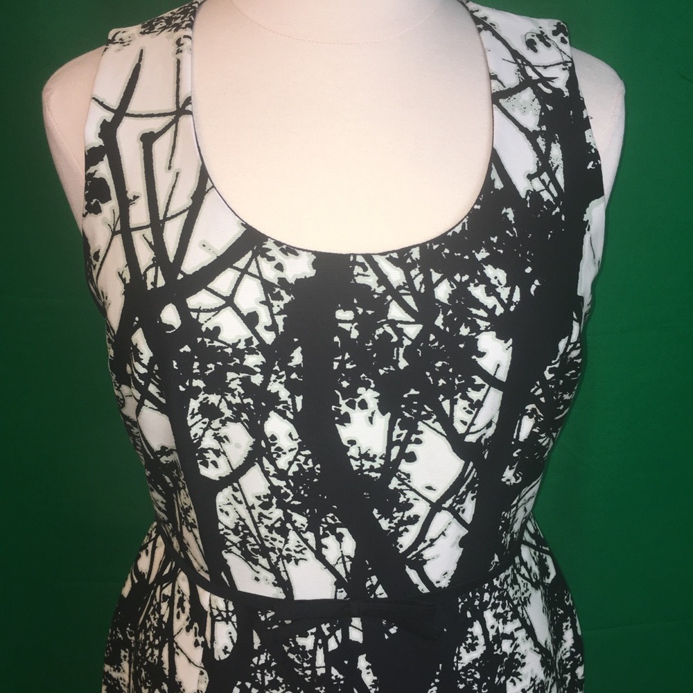 Plus (16) Taylor Sleeveless Dress